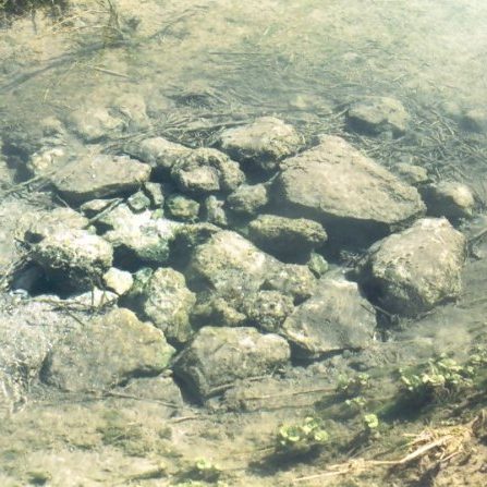 Las piedras que forman la pupila
