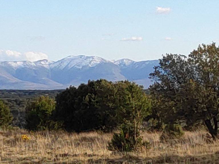 Nieve en la Sierra de Ayllón Nieve en la Sierra de Ayllón